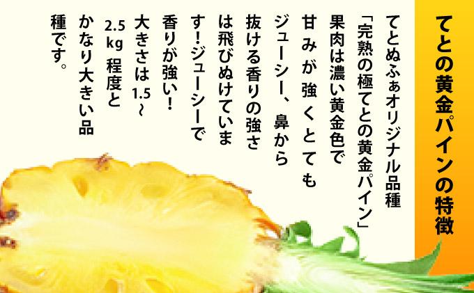 《6月以降発送》袋をあければそこは南国！完熟てとの黄金パインをカットして小分けでお届け！ 100g×6パック  TF-106 冷凍カットパイン（てとの黄金パイン）100g×6袋 | 沖縄県 石垣市 石垣島 南国 フルーツ 冷凍