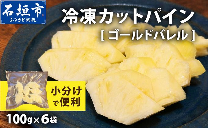 《7月以降発送》袋をあければそこは南国！完熟ゴールドバレルをカットして小分けでお届け！ 100g×6パック  TF-107 冷凍カットパイン（ゴールドバレル）100g×6袋 | 沖縄県 石垣市 石垣島 南国 フルーツ 冷凍