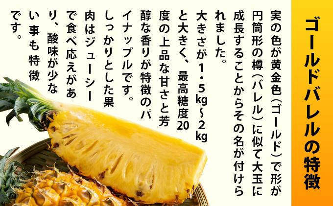 《7月以降発送》袋をあければそこは南国！完熟ゴールドバレルをカットして小分けでお届け！ 100g×6パック  TF-107 冷凍カットパイン（ゴールドバレル）100g×6袋 | 沖縄県 石垣市 石垣島 南国 フルーツ 冷凍
