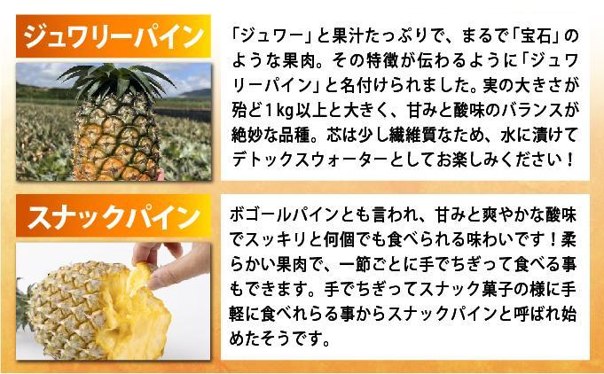 《7月以降発送》袋をあければそこは南国！ 贅沢に完熟パイン6種類をカットして小分け、詰め合わせを大容量でお届け！ 100g各2パックずつ×6種類 合計12パック  TF-110 冷凍カットパイン（6種アソート）100g×各2袋×6種 | スナックパイン ピーチパイン ジュワリーパイン てとの黄金パイン ゴールドバレル サンドルチェ アソート 南国 フルーツ 沖縄県 石垣市 石垣島