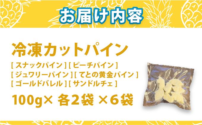 《7月以降発送》袋をあければそこは南国！ 贅沢に完熟パイン6種類をカットして小分け、詰め合わせを大容量でお届け！ 100g各2パックずつ×6種類 合計12パック  TF-110 冷凍カットパイン（6種アソート）100g×各2袋×6種 | スナックパイン ピーチパイン ジュワリーパイン てとの黄金パイン ゴールドバレル サンドルチェ アソート 南国 フルーツ 沖縄県 石垣市 石垣島