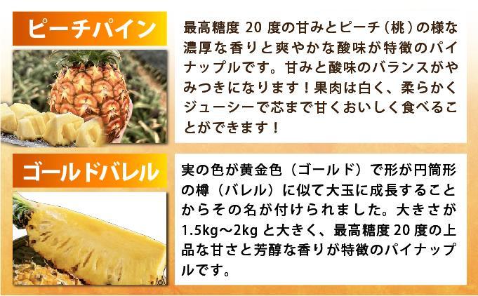 《7月以降発送》袋をあければそこは南国！ 贅沢に完熟パイン6種類をカットして小分け、詰め合わせを大容量でお届け！ 100g各2パックずつ×6種類 合計12パック  TF-110 冷凍カットパイン（6種アソート）100g×各2袋×6種 | スナックパイン ピーチパイン ジュワリーパイン てとの黄金パイン ゴールドバレル サンドルチェ アソート 南国 フルーツ 沖縄県 石垣市 石垣島