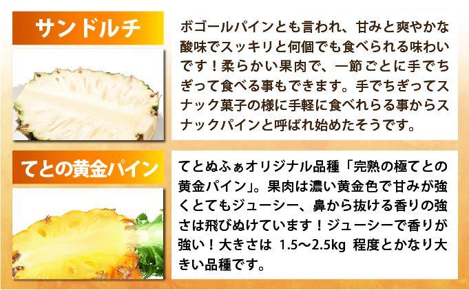 《7月以降発送》袋をあければそこは南国！ 贅沢に完熟パイン6種類をカットして小分け、詰め合わせを大容量でお届け！ 100g各2パックずつ×6種類 合計12パック  TF-110 冷凍カットパイン（6種アソート）100g×各2袋×6種 | スナックパイン ピーチパイン ジュワリーパイン てとの黄金パイン ゴールドバレル サンドルチェ アソート 南国 フルーツ 沖縄県 石垣市 石垣島