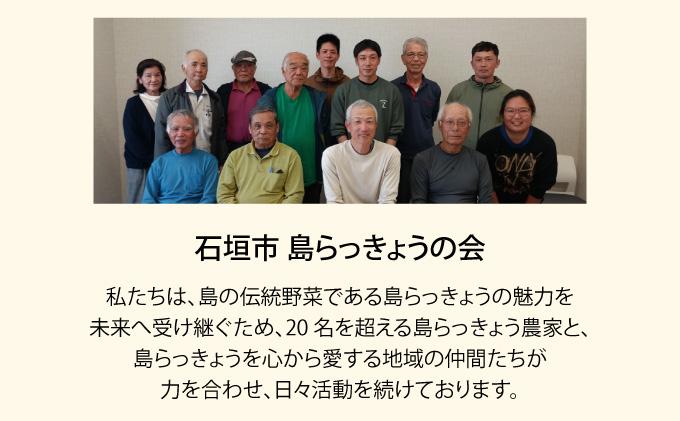 石垣島産 土付き 島らっきょう 1kg (石垣市島らっきょうの会 協同出荷) | 沖縄県 石垣市  沖縄県産 らっきょう 土付き 新鮮 鮮度 沖縄グルメ お取り寄せ おつまみ