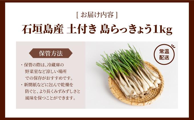石垣島産 土付き 島らっきょう 1kg (石垣市島らっきょうの会 協同出荷) | 沖縄県 石垣市  沖縄県産 らっきょう 土付き 新鮮 鮮度 沖縄グルメ お取り寄せ おつまみ