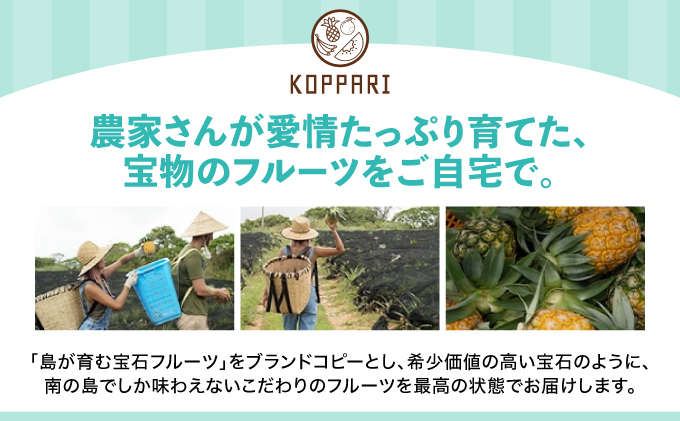 ã2026幎5æããçºé 4åå®æäŸ¿ãç³å£å³¶ç£ãã€ãããã«çŽ2kgÃ3åã»ãã³ãŽãŒçŽ1kgÃ1åã»ãã