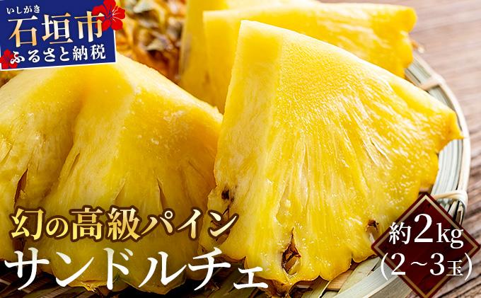 ＜先行予約＞ 石垣島産 高級パイン サンドルチェ 約2kg (2～3玉) JAおきなわ ＜2026年6月順次発送＞ | パイン パイナップル フルーツ 果物 サンドルチェパイン 沖縄県 石垣市 ふるさと AE-014