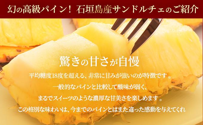 ＜先行予約＞ 石垣島産 高級パイン サンドルチェ 約2kg (2～3玉) JAおきなわ ＜2026年6月順次発送＞ | パイン パイナップル フルーツ 果物 サンドルチェパイン 沖縄県 石垣市 ふるさと AE-014