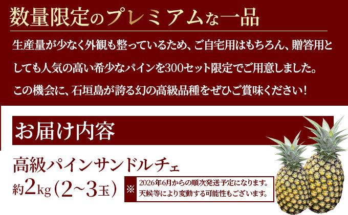 ＜先行予約＞ 石垣島産 高級パイン サンドルチェ 約2kg (2～3玉) JAおきなわ ＜2026年6月順次発送＞ | パイン パイナップル フルーツ 果物 サンドルチェパイン 沖縄県 石垣市 ふるさと AE-014