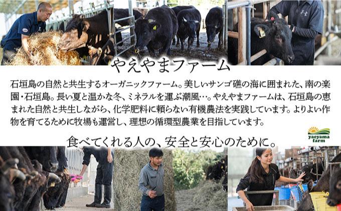 石垣牛×アグー豚（南ぬ豚）石垣島満喫ハンバーグセット（各6個 計12個） | ハンバーグ 牛肉 セット 和牛 黒毛和牛 石垣牛 豚肉 あぐー豚 アグー豚 沖縄県 石垣島