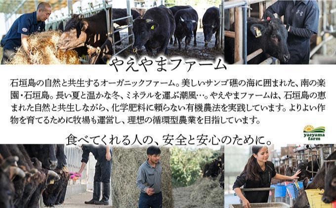 石垣牛×アグー豚（南ぬ豚）石垣島満喫しゃぶしゃぶセット（各400g 計800g）| 牛肉 セット 和牛 黒毛和牛 石垣牛 豚肉 あぐー豚 アグー豚 沖縄県 石垣島