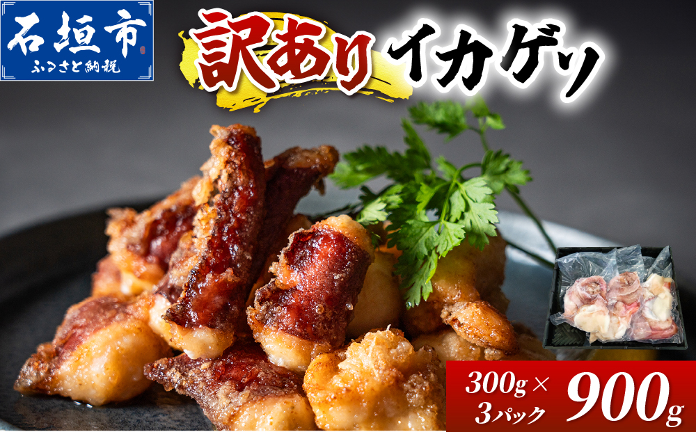 ＜訳あり＞ 石垣島産 セーイカの極上げそ 300g×3パック 加熱用 ※3～5月出荷不可※ | イカ セーイカ ソデイカ げそ ゲソ イカゲソ いかげそ 逸品 沖縄県 石垣島 訳あり