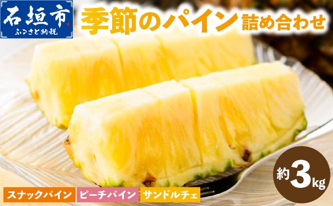 まーぼーの季節のパイン詰め合わせ 約3kg ＜2026年4月～5月順次発送＞ | パイン パイナップル フルーツ 果物 スナック ピーチ サンドルチェ 沖縄県 石垣市 ふるさと MM-001