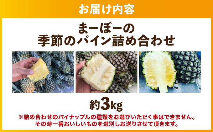 まーぼーの季節のパイン詰め合わせ 約3kg ＜2026年4月～5月順次発送＞ | パイン パイナップル フルーツ 果物 スナック ピーチ サンドルチェ 沖縄県 石垣市 ふるさと MM-001