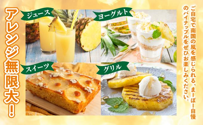 まーぼーの季節のパイン詰め合わせ 約3kg ＜2026年4月～5月順次発送＞ | パイン パイナップル フルーツ 果物 スナック ピーチ サンドルチェ 沖縄県 石垣市 ふるさと MM-001