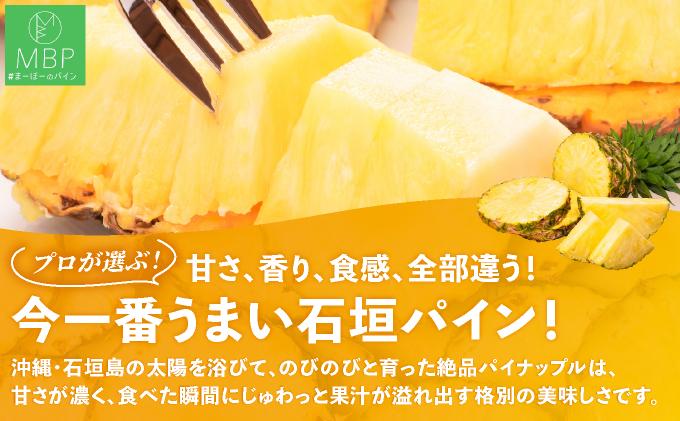 まーぼーの季節のパイン詰め合わせ 約3kg ＜2026年4月～5月順次発送＞ | パイン パイナップル フルーツ 果物 スナック ピーチ サンドルチェ 沖縄県 石垣市 ふるさと MM-001