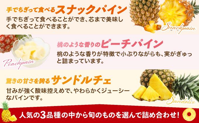 まーぼーの季節のパイン詰め合わせ 約3kg ＜2026年4月～5月順次発送＞ | パイン パイナップル フルーツ 果物 スナック ピーチ サンドルチェ 沖縄県 石垣市 ふるさと MM-001