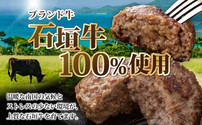 石垣牛ハンバーグ 1kg (100g×5個×2パック)| ハンバーグ 石垣牛 牛肉 石垣市 石垣島 沖縄 コッパリ