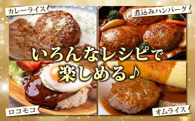 石垣牛ハンバーグ 1kg (100g×5個×2パック)| ハンバーグ 石垣牛 牛肉 石垣市 石垣島 沖縄 コッパリ