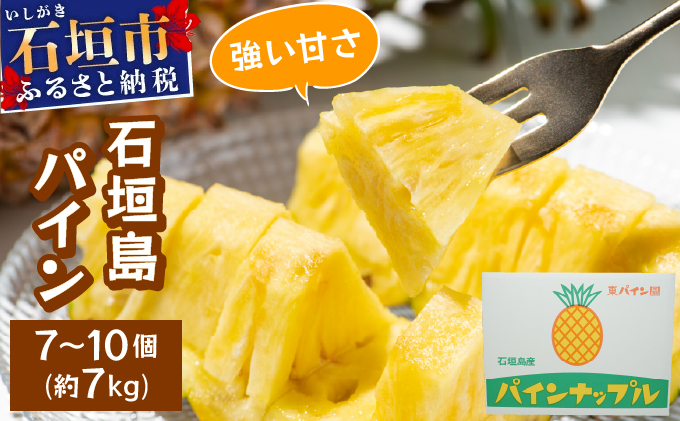 石垣島パイン(ハワイ種またはピーチパイン) 7~10個(約7kg) 【2026年6月中旬頃より順次発送】PE-001