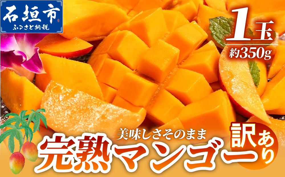 【自家用】完熟マンゴー 1玉（約350g）| 訳あり 産地直送 完熟マンゴー アーウィン マンゴー 沖縄 八重山 石垣島産