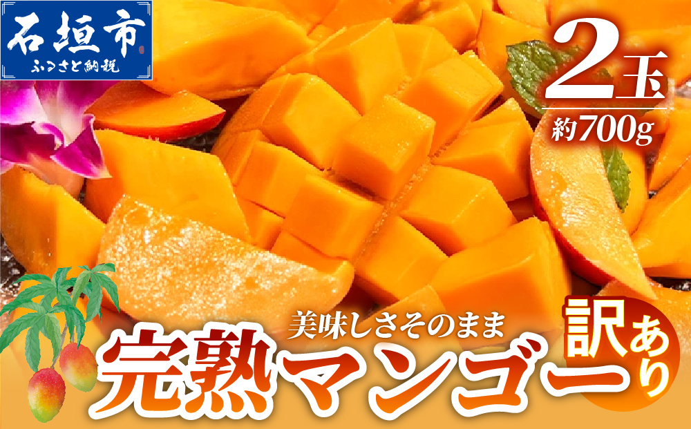 【自家用】完熟マンゴー 2玉（約700g）| 訳あり 産地直送 完熟マンゴー アーウィン マンゴー 沖縄 八重山 石垣島産