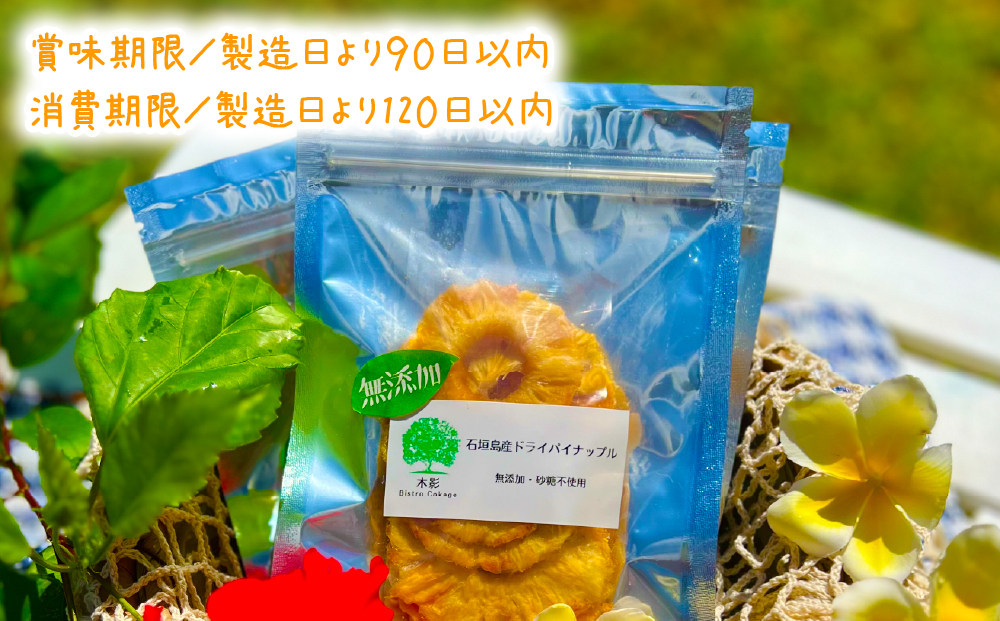 ç³å£å³¶ç£ãã©ã€ãã€ãããã« | ãã€ã³ ãã€ãããã« ãã«ãŒã æç© ãã©ã€ãã«ãŒã ãèå ãã〠æé£ æ²çžç ç³å£åž ãµãããš BK-001