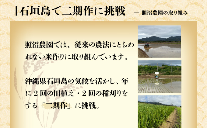 【石垣島産】日本最南端の日本一早い新米（清衛門）5kg×1袋 TN-02