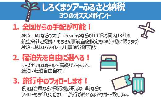 【石垣市】しろくまツアーで利用可能なWEB旅行クーポン (6,000円分)【 沖縄県 石垣市 石垣島 ツアー 紙券 クーポン 旅行券 クーポン券 旅行 宿泊 観光 旅 】WB-2