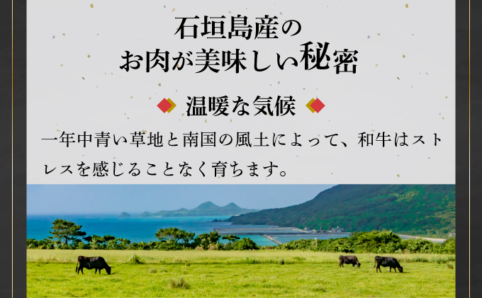 【先行予約：2024年12月中旬配送】担当者イチオシ!! 石垣産《黒毛和牛》ローストビーフ 400g  |和牛 牛肉 冷凍  丼 ジューシー 人気 おすすめ 国産 国産牛 小分け 八重山食肉センター YC-6