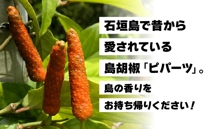 繧ャ繝ェ繧ャ繝ェ邊玲舷縺阪ヴ繝代シ繝 遏ウ蝙」蟲カ逕」縲悟ウカ閭。讀偵崎ゥー譖ソシ3陲具シ迂N-02