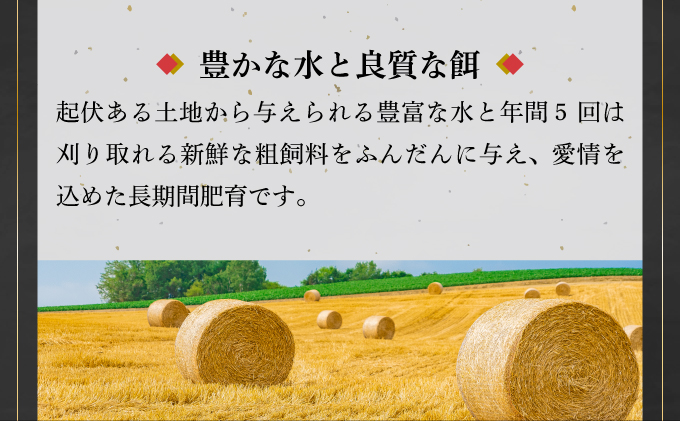 【先行予約：2024年12月中旬配送】担当者イチオシ!! 石垣産《黒毛和牛》ローストビーフ 400g  |和牛 牛肉 冷凍  丼 ジューシー 人気 おすすめ 国産 国産牛 小分け 八重山食肉センター YC-6