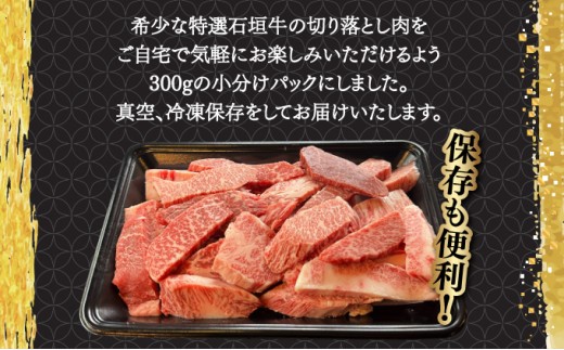 åžå°ãªç¹éžç³å£çããå®¶åºã§ïŒïŒåãèœãšãçŒèçš300g&ç³å£ç MARUç§äŒã®çŒèã¿ã¬100mlÃ1æ¬ | æ²çž ç³å£ ç¹éž ç åãèœãšã çŒ è ã¿ã¬ | IM-37