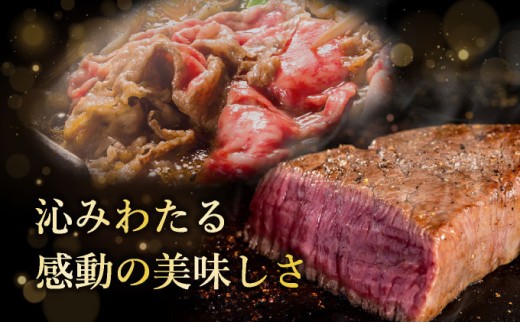 【2025年11月以降順次発送】【3回定期便】希少な特選石垣牛をご家庭で！！全3回合計1.1kg　上赤身（ウチモモ、シンタマ、ランプ）焼肉用とステーキ各400gずつ、肩ロースしゃぶしゃぶ用300g &石垣牛 MARU秘伝の焼肉タレ100ml×1本 | 沖縄 石垣 特選 牛 上 赤身 ウチモモ シンタマ ランプ カルビ ロース 肉 焼肉 ステーキ しゃぶしゃぶ 真空 冷凍 タレ 定期便 | IM-51t