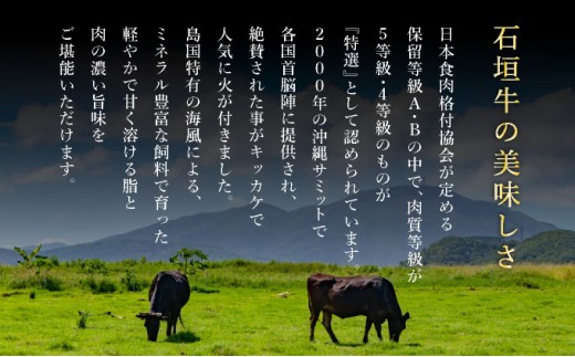 【2025年11月以降順次発送】【3回定期便】希少な特選石垣牛をご家庭で！！全3回合計1.1kg　上赤身（ウチモモ、シンタマ、ランプ）焼肉用とステーキ各400gずつ、肩ロースしゃぶしゃぶ用300g &石垣牛 MARU秘伝の焼肉タレ100ml×1本 | 沖縄 石垣 特選 牛 上 赤身 ウチモモ シンタマ ランプ カルビ ロース 肉 焼肉 ステーキ しゃぶしゃぶ 真空 冷凍 タレ 定期便 | IM-51t