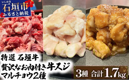 【2025年11月以降順次発送】特選石垣牛の牛スジとマルチョウ、秘伝の味噌味をご家庭で！！牛スジ500g、マルチョウ300ｇ×2、味噌味マルチョウ300ｇ×2のよくばりセット | 沖縄 石垣 牛スジ マルチョウ ホルモン 牛 肉 特選 黒毛 和牛 贅沢 秘伝 ミソ 味噌 家庭用 | IM-31