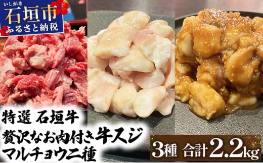 【2025年11月以降順次発送】特選石垣牛の牛スジとマルチョウ、秘伝の味噌味をご家庭で！！牛スジ500g×2、マルチョウ300ｇ×2、味噌味マルチョウ300ｇ×2の大満足のよくばりセット | 沖縄 石垣 牛スジ マルチョウ ホルモン 牛 肉 特選 黒毛 和牛 贅沢 秘伝 ミソ 味噌 家庭用 | IM-30