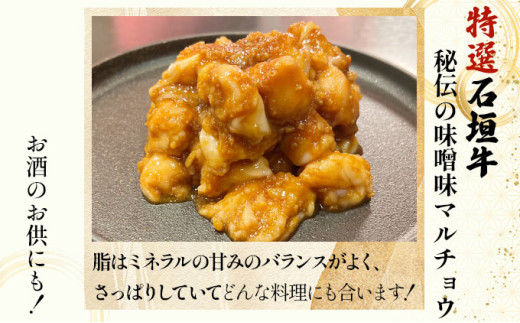 【2025年11月以降順次発送】特選石垣牛の牛スジと秘伝の味噌味マルチョウをご家庭で！！牛スジ500g、味噌味マルチョウ300ｇ×2のセット | 沖縄 石垣 牛スジ マルチョウ ホルモン 牛 肉 特選 黒毛 和牛 贅沢 秘伝 ミソ 味噌 家庭用 | IM-28