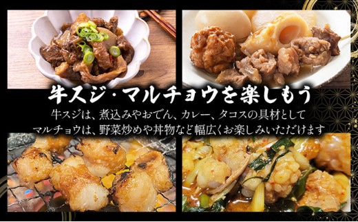 【2025年11月以降順次発送】特選石垣牛の牛スジと秘伝の味噌味マルチョウをご家庭で！！牛スジ500g、味噌味マルチョウ300ｇ×2のセット | 沖縄 石垣 牛スジ マルチョウ ホルモン 牛 肉 特選 黒毛 和牛 贅沢 秘伝 ミソ 味噌 家庭用 | IM-28