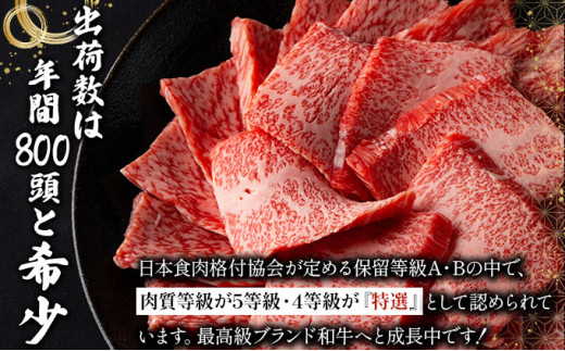 【2025年11月以降順次発送】特選石垣牛の贅沢なお肉付き牛スジをご家庭で！！牛スジ500g×4パック | 沖縄 石垣 牛スジ 牛 肉 特選 黒毛 和牛 贅沢 | IM-22