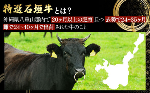 【2025年11月以降順次発送】特選石垣牛の贅沢なお肉付き牛スジをご家庭で！！牛スジ500g×4パック | 沖縄 石垣 牛スジ 牛 肉 特選 黒毛 和牛 贅沢 | IM-22