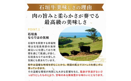 石垣牛 特選 サーロインステーキ 250g×2枚  沖縄県 石垣市 石垣島 サーロイン 牛肉 黒毛和牛 E-51