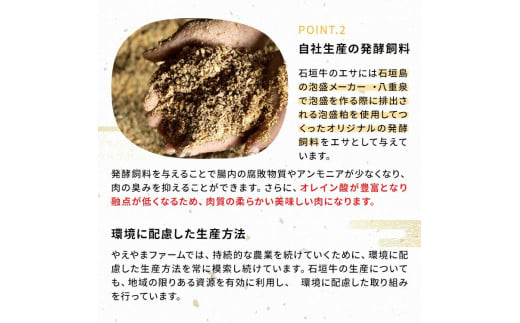 石垣牛 特選 サーロインステーキ 250g×2枚  沖縄県 石垣市 石垣島 サーロイン 牛肉 黒毛和牛 E-51