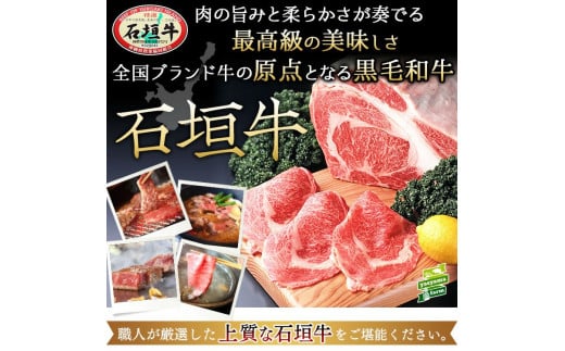 遏ウ蝙」迚帷音驕ク 繝ェ繝悶Ο繝シ繧ケ縺励c縺カ縺励c縺カ 400g 豐也ク逵 遏ウ蝙」蟶 遏ウ蝙」蟲カ 繝ェ繝悶Ο繝シ繧ケ 繝ュ繝シ繧ケ 縺励c縺カ縺励c縺カ 迚幄i 鮟呈ッ帛柱迚 E-45