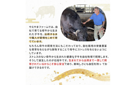 石垣牛 特選 モモ 焼肉 400g  沖縄県 石垣市 石垣島 モモ 焼き肉 牛肉 黒毛和牛 E-43
