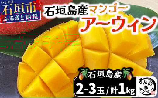 ＜わんのマンゴー＞石垣島産マンゴー アーウィン種 合計1kg ＜2026年4月以降発送＞｜産地直送 沖縄 石垣島 マンゴー  アーウィン マンゴー フルーツ 沖縄 NA-03