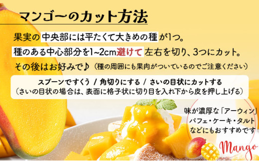 ＜わんのマンゴー＞石垣島産マンゴー アーウィン種 合計1kg ＜2026年4月以降発送＞｜産地直送 沖縄 石垣島 マンゴー  アーウィン マンゴー フルーツ 沖縄 NA-03