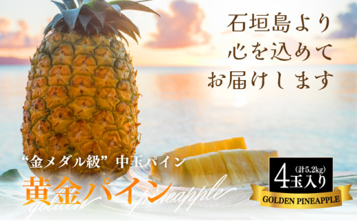＜先行予約＞ 石垣島産 黄金パイン 中玉 4玉 約5.2kg ＜2026年7月以降発送＞【 産地直送 沖縄 石垣 フルーツ パイナップル パイン 黄金パイン 】 SI-122