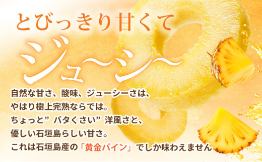 ＜先行予約＞ 石垣島産 黄金パイン 中玉 4玉 約5.2kg ＜2026年7月以降発送＞【 産地直送 沖縄 石垣 フルーツ パイナップル パイン 黄金パイン 】 SI-122