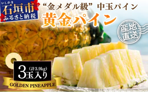 ＜先行予約＞ 石垣島産 黄金パイン 中玉 3玉 約3.9kg ＜2026年7月以降発送＞【 産地直送 沖縄 石垣 フルーツ パイナップル パイン 黄金パイン 】 SI-121
